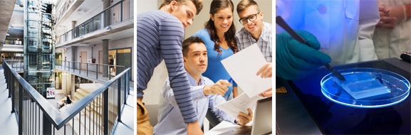 ylikoolist pildirida1